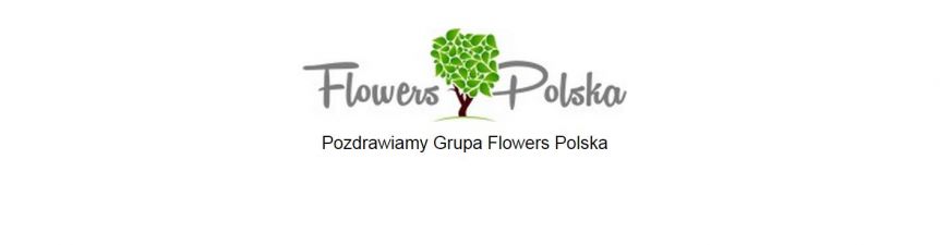 Flowers Polska