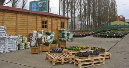 Nordmania.pl - szkółka i sklep ogrodniczy