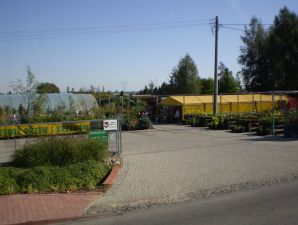 Szkółka Drzew i Krzewów Januszewscy