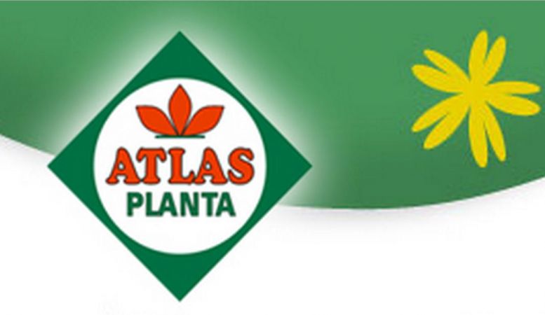 PPHU Atlas-Planta