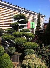 GREEN GARDEN - Szkółka Drzew i Krzewów Ozdobnych