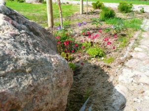 GREEN PROJECT