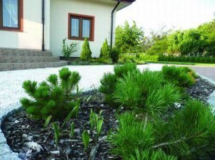 GREEN PROJECT