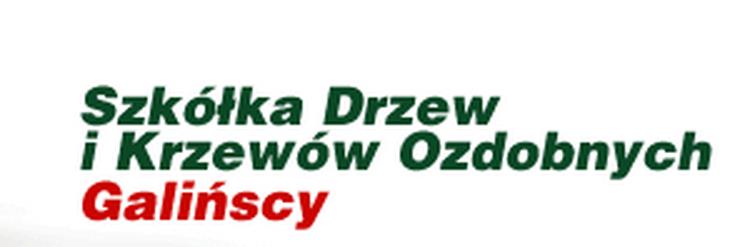 Szkółka Drzew i Krzewów Ozdobnych
