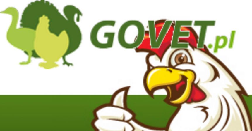 PPHU Govet