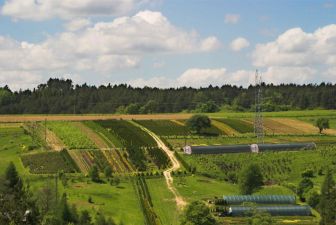 Szkółka Drzew i Krzewów Ozdobnych Krajewscy