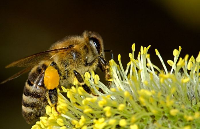 Biopartner Sp. z o.o.