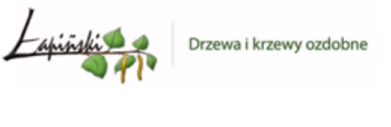 Szkółka drzewa i krzewy ozdobne Łapiński