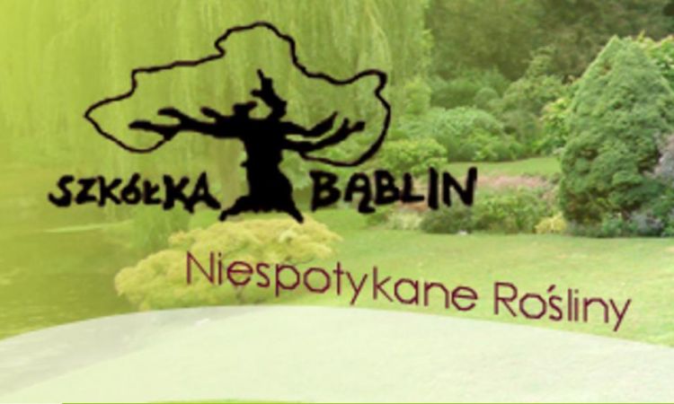 Szkółka Bąblin