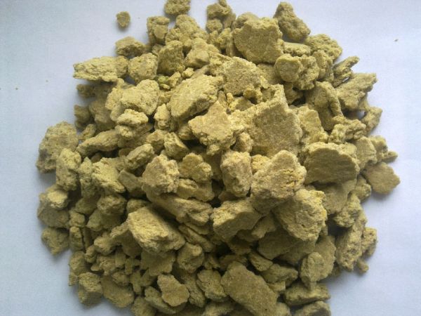 Frescho Group Poland Sp.zo.o