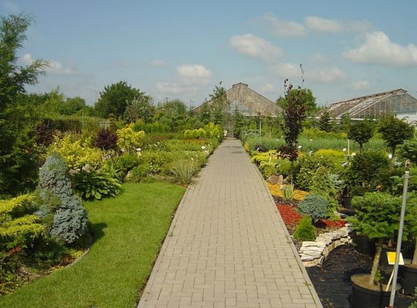 Centrum Ogrodnicze Egzoland - Szkółka ogrodnicza