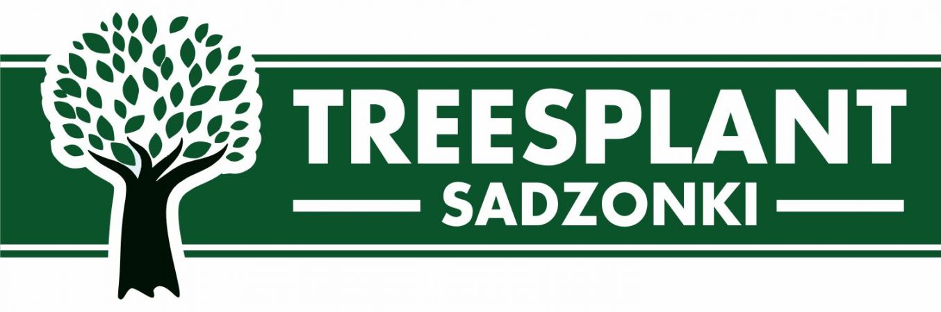 Treesplant Sadzonki świerka pospolitego i jodły kaukaskiej