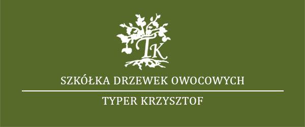 Szkółka Drzewek Owocowych Krzysztof Typer